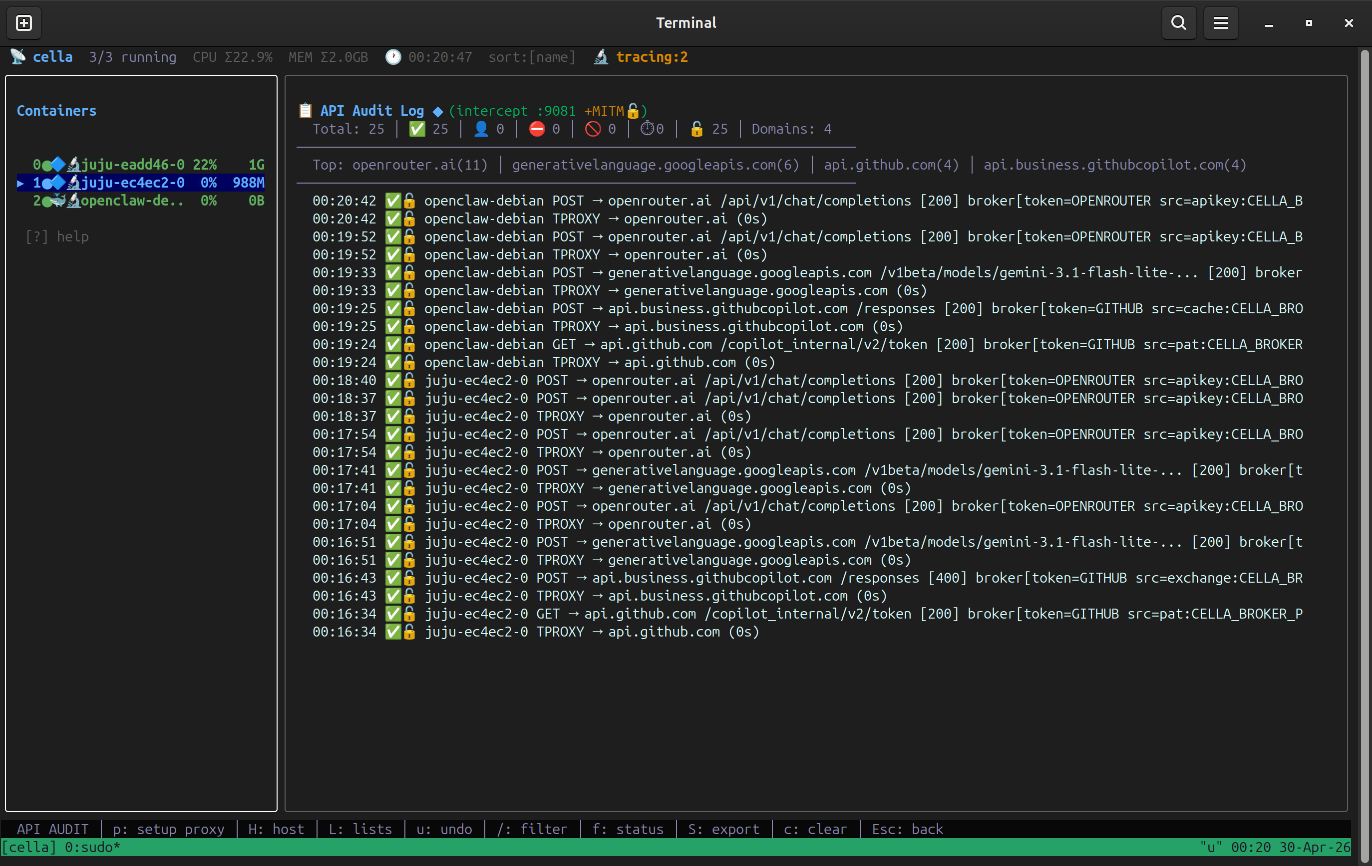 Audit panel — HTTP proxy audit