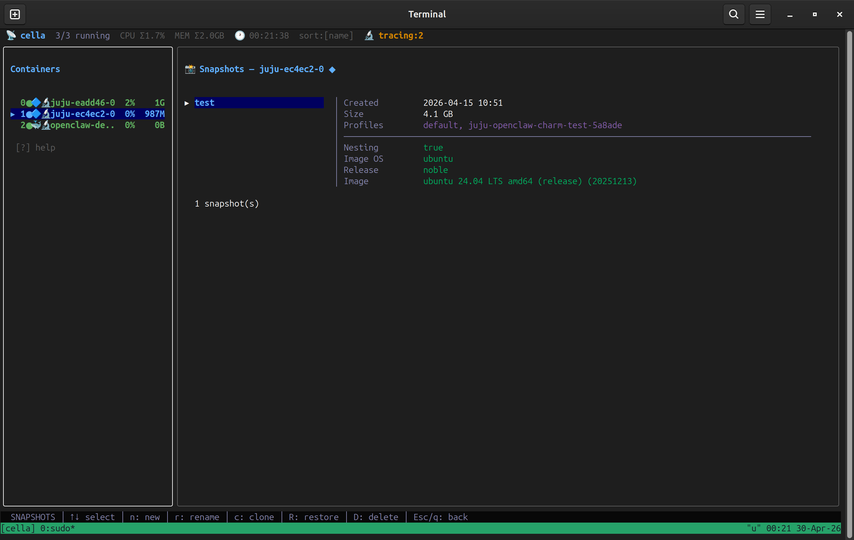 Snapshots panel — create/restore/clone